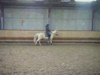 Garry, Hiver 2008, nos débuts