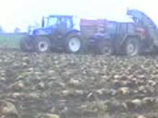 arrachage betterave plougonvelin ford 6640 new holland T6030