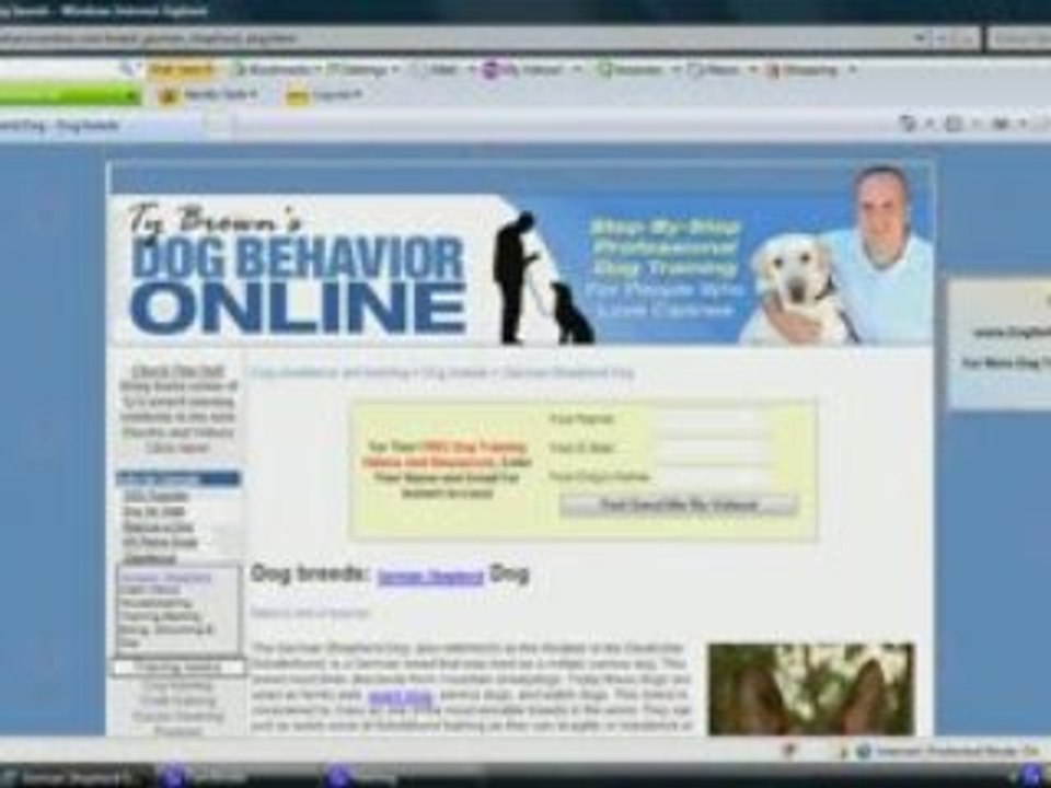 Training German Shepherd