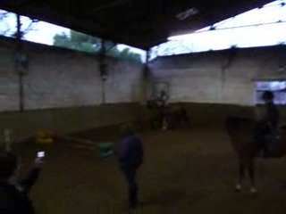 Cours d'obstacle la Gogole