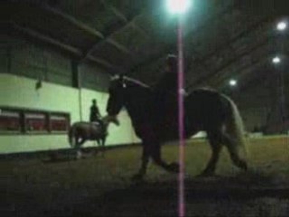 Caroussel des Grands Ados