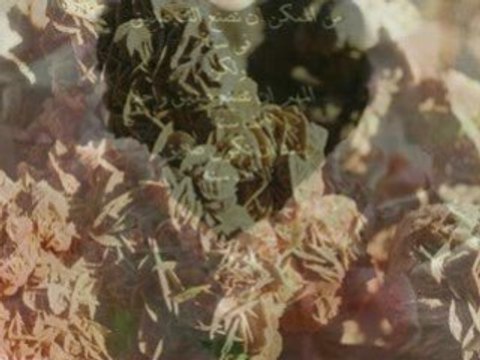 EDRISS ETTOMI CHANTEUR SOUFI EL-OUED SOUF