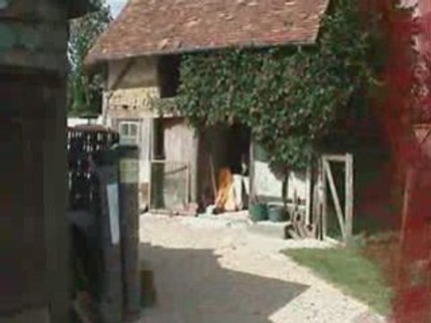 Vol au dessus d'un nid de marans1