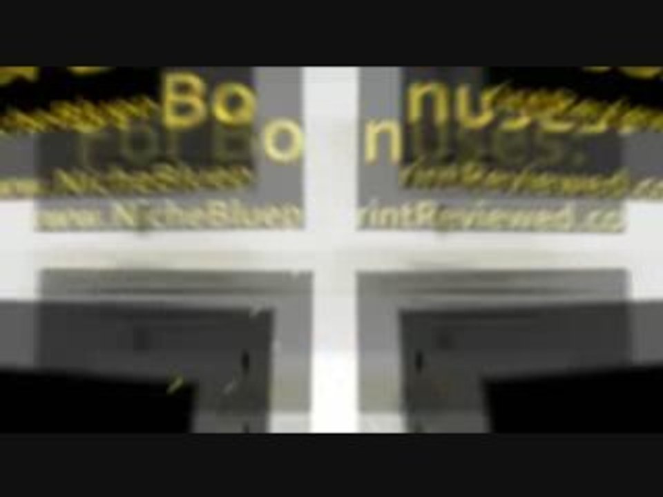 Niche Blueprint-Dropship Wholesale Businesses Successful In