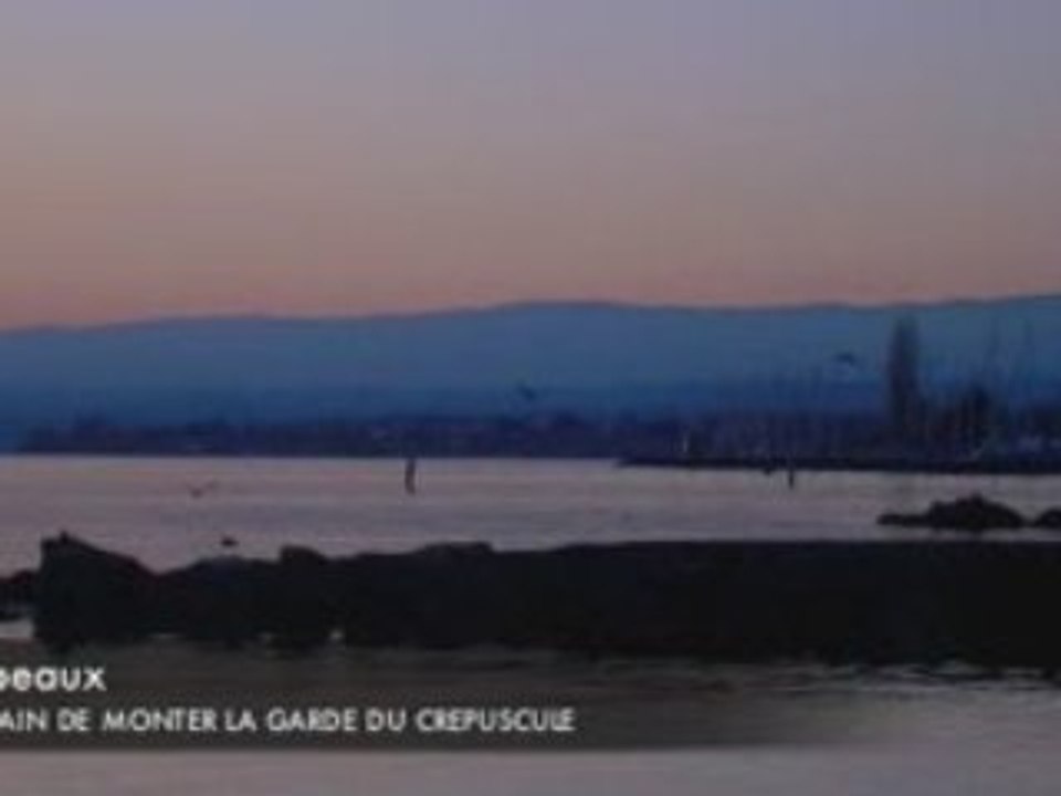 les animaux du lac léman