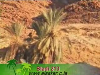 Cascade Bou-saâda m'sila شلالات بوسعادة الساحرة