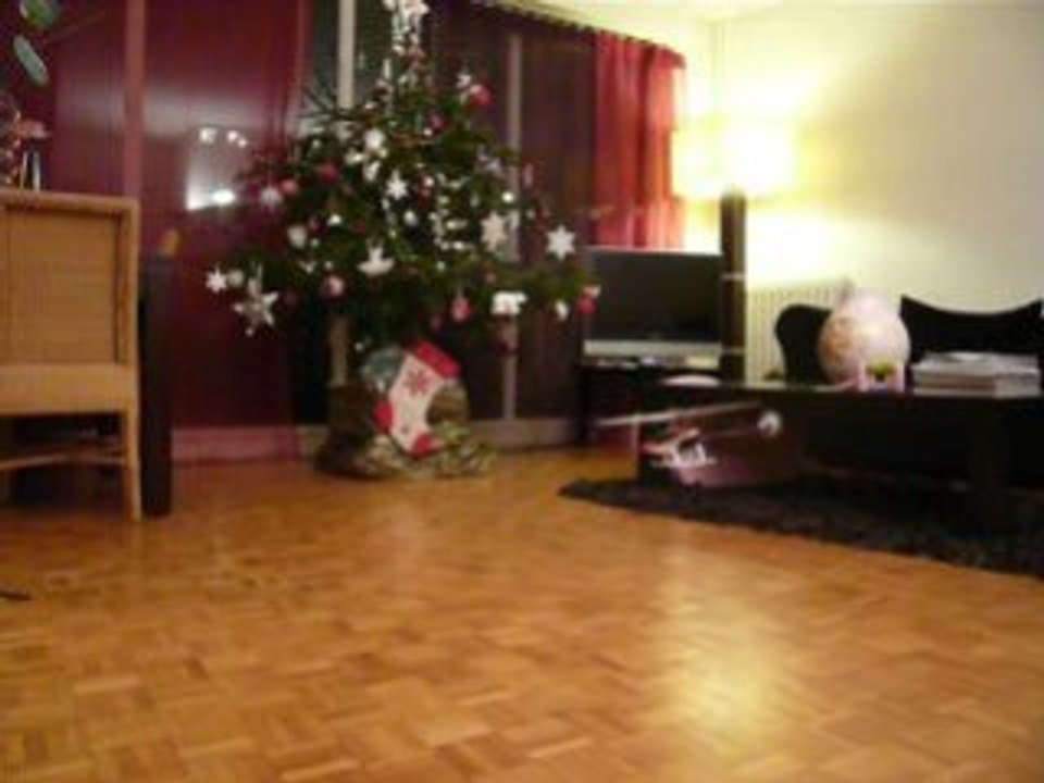 Walkera Heli 4G3 - Petit vol tranquile