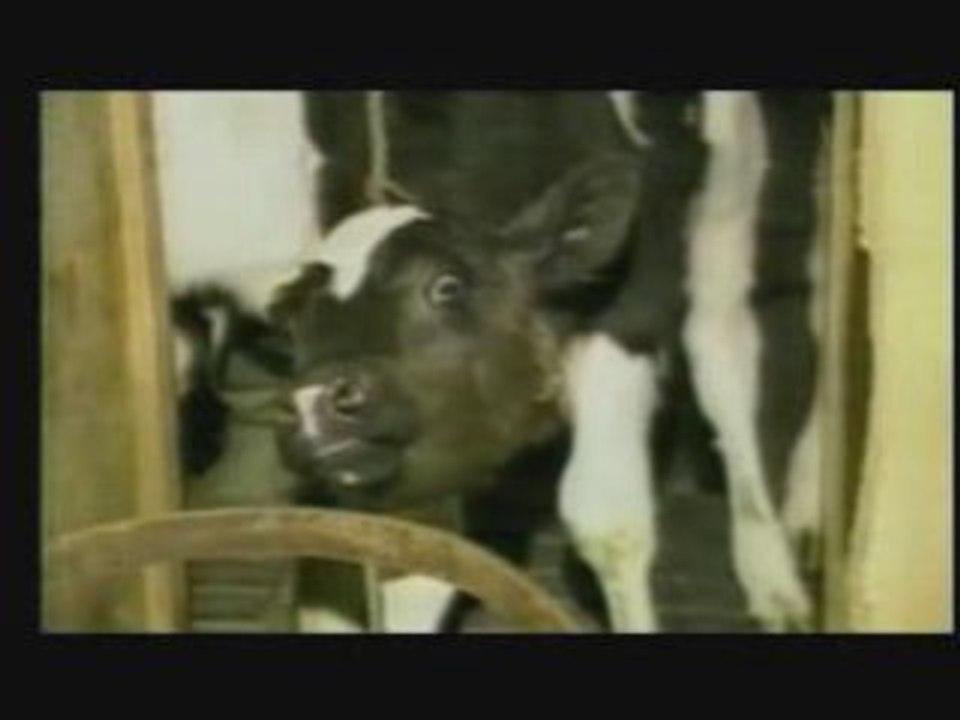 LaminiusX Nichts ist Wichtig