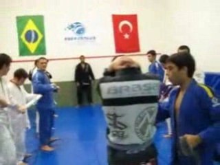Brasa TR Baran Tubarao BJJ Blue Belt Promotion