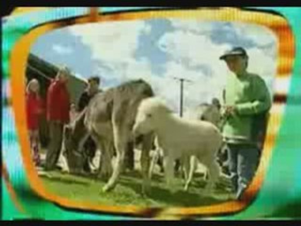 Sipa kücük cocuga citme atiyor