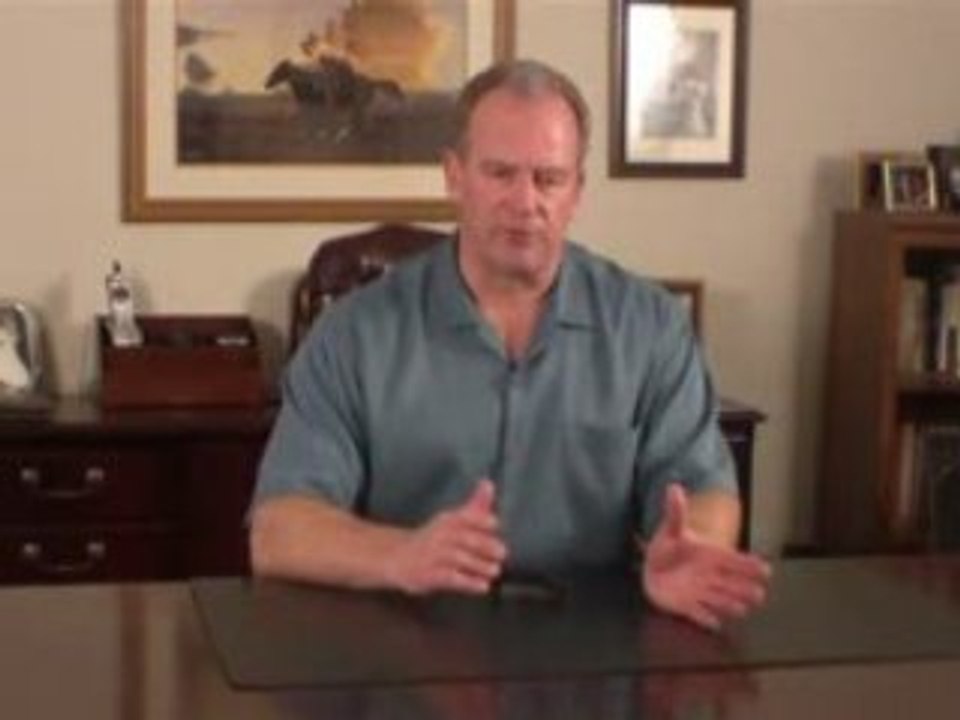 The Perfect Biz Finder Series: Release Your Inner Genius