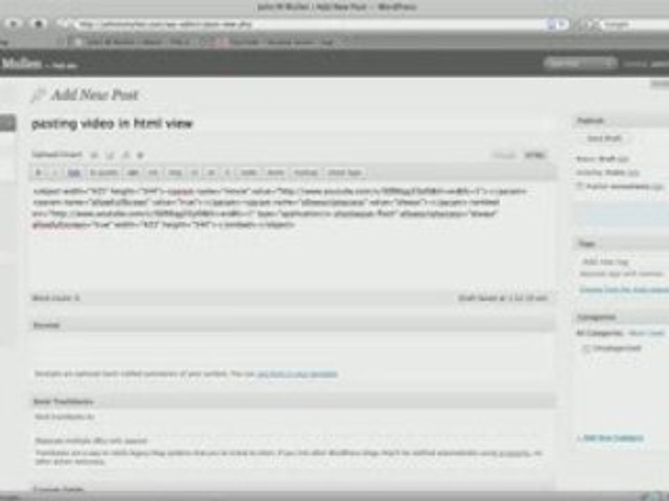 How to Embed Video into Your Wordpress Blog