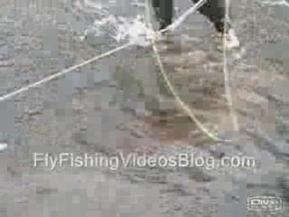 Fly Fishing Videos On Weber River