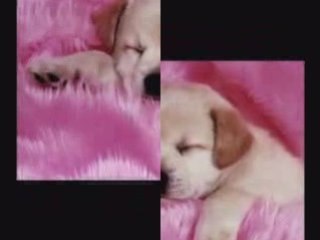 Miro - I Lose Control When...