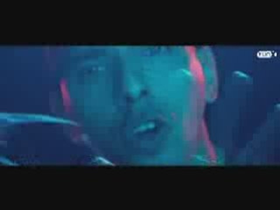 Algerino Ft Douzi Move