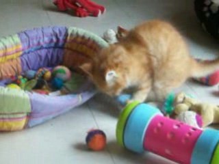 Azraël n'a pas de jouets