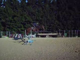 saut oxer