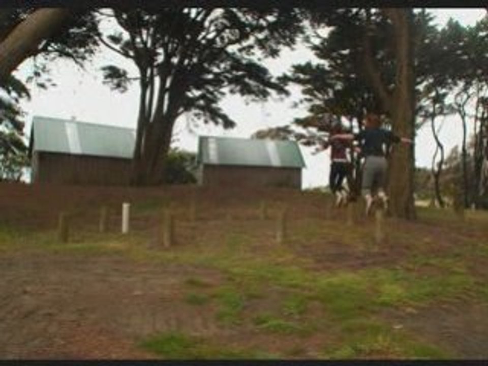 trip nz premier jet