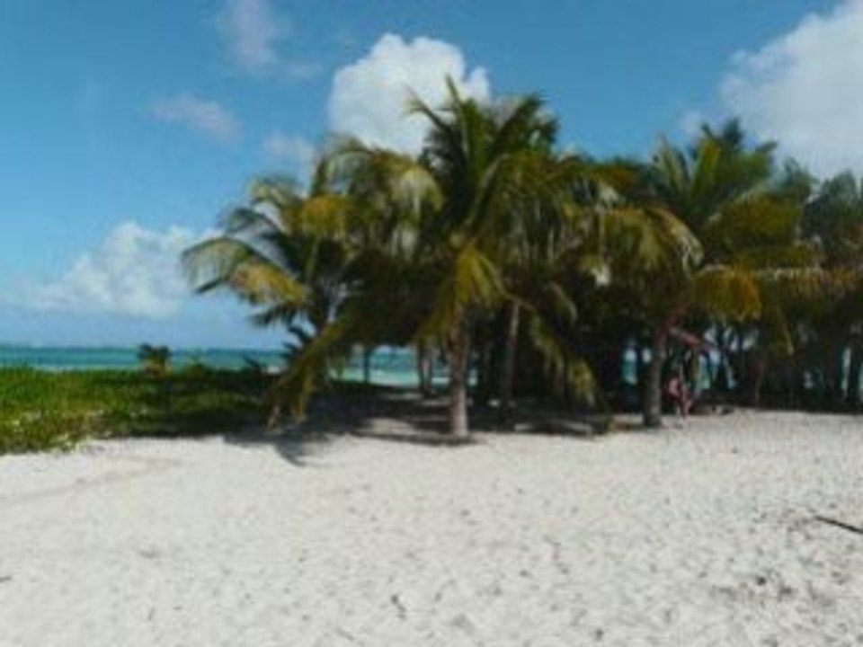 ILET CARET