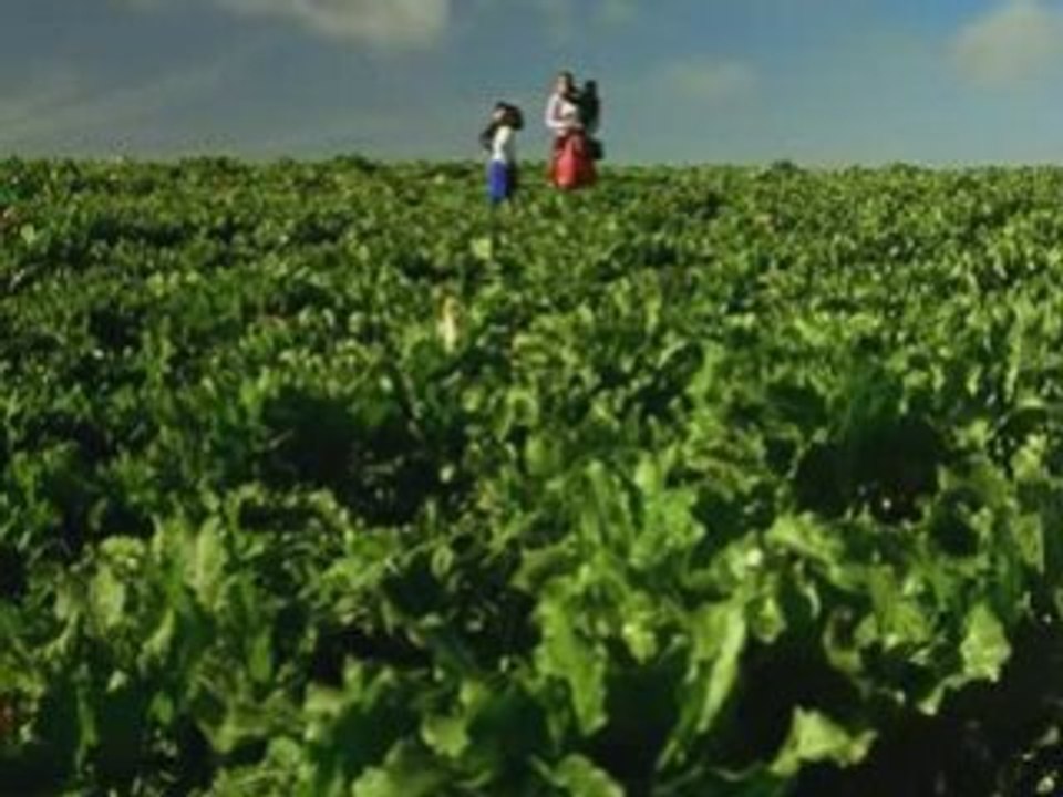 Le pays - Gilles Servat - Hommage à nos Immigrés