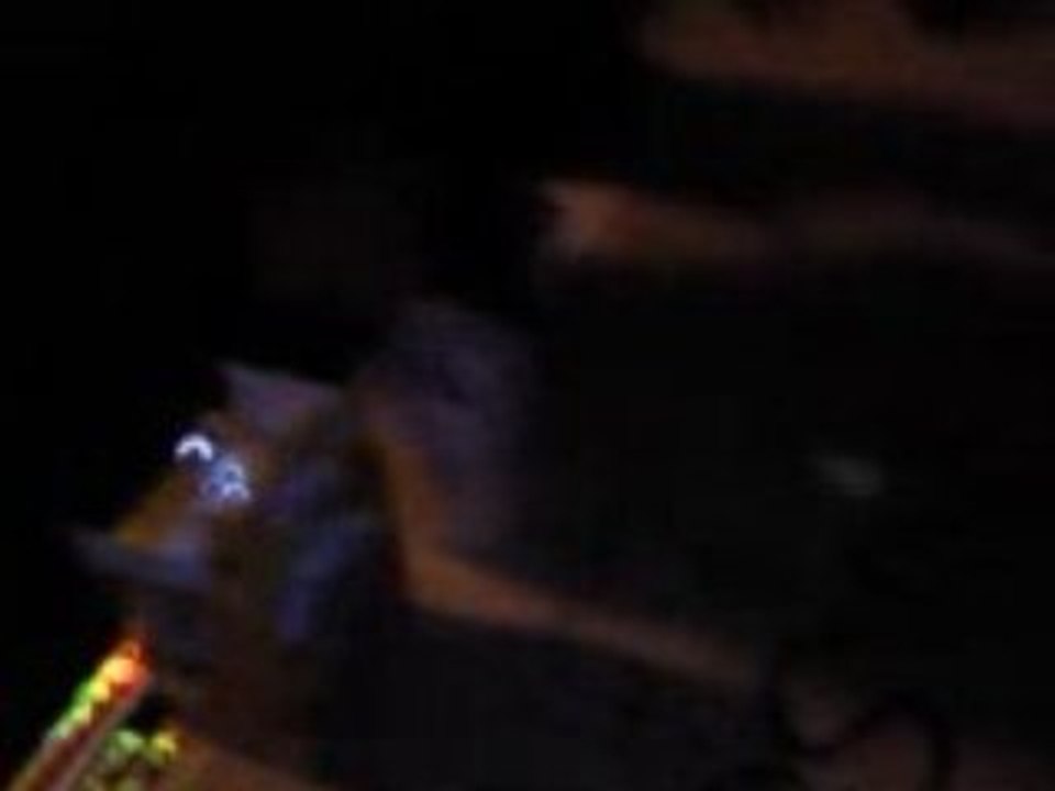 Vidéo0007