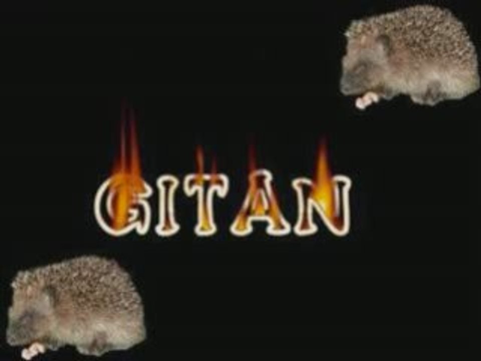 El gitano rison