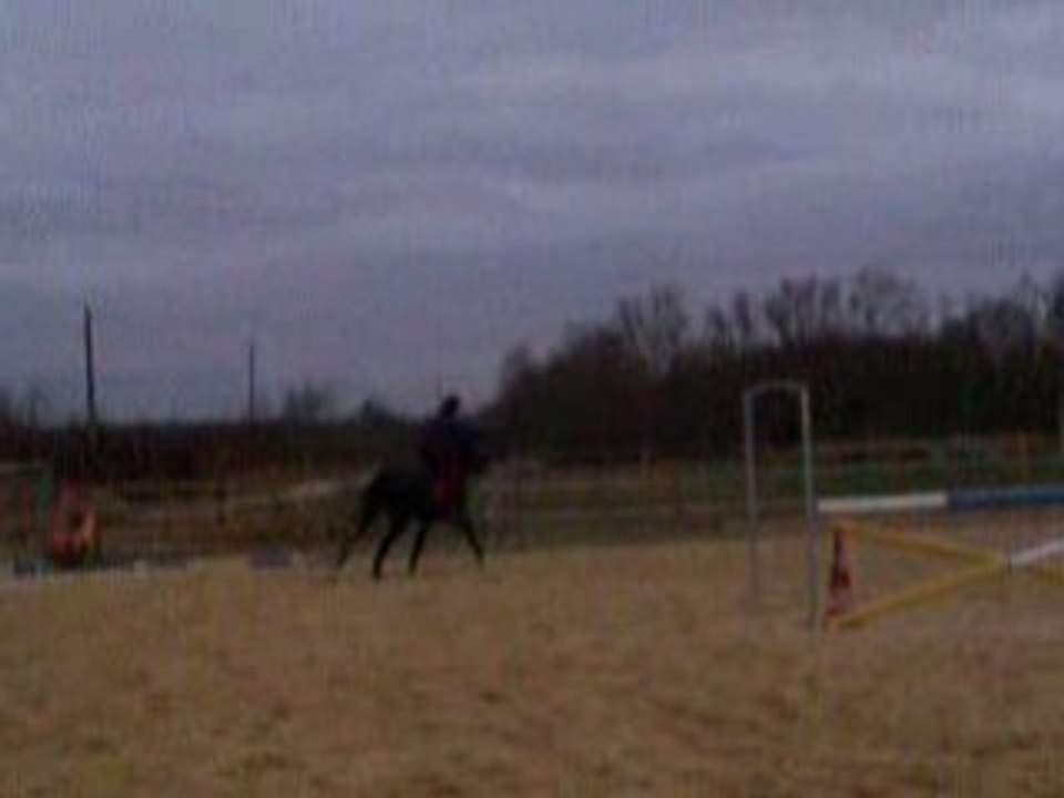 Dimanche21decembre 08 videos 030