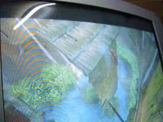 POP Spheres Chaudron