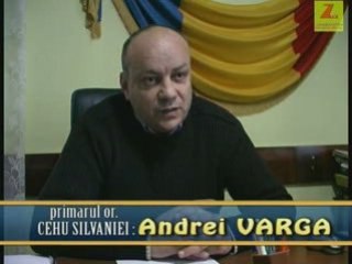 Momente de bucurie pentru copiii cu dizabilitati Cehu Silvan