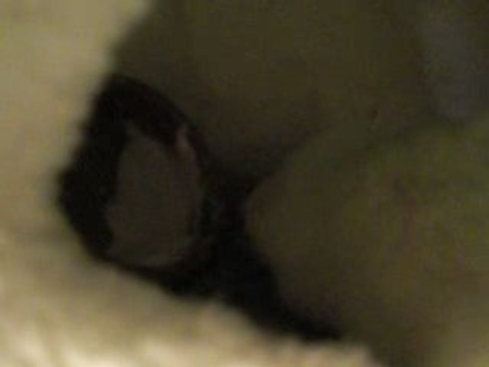 CIMG0188