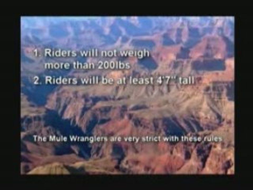 Grand Canyon Mule Rides to the bottom of the Grand Canyon