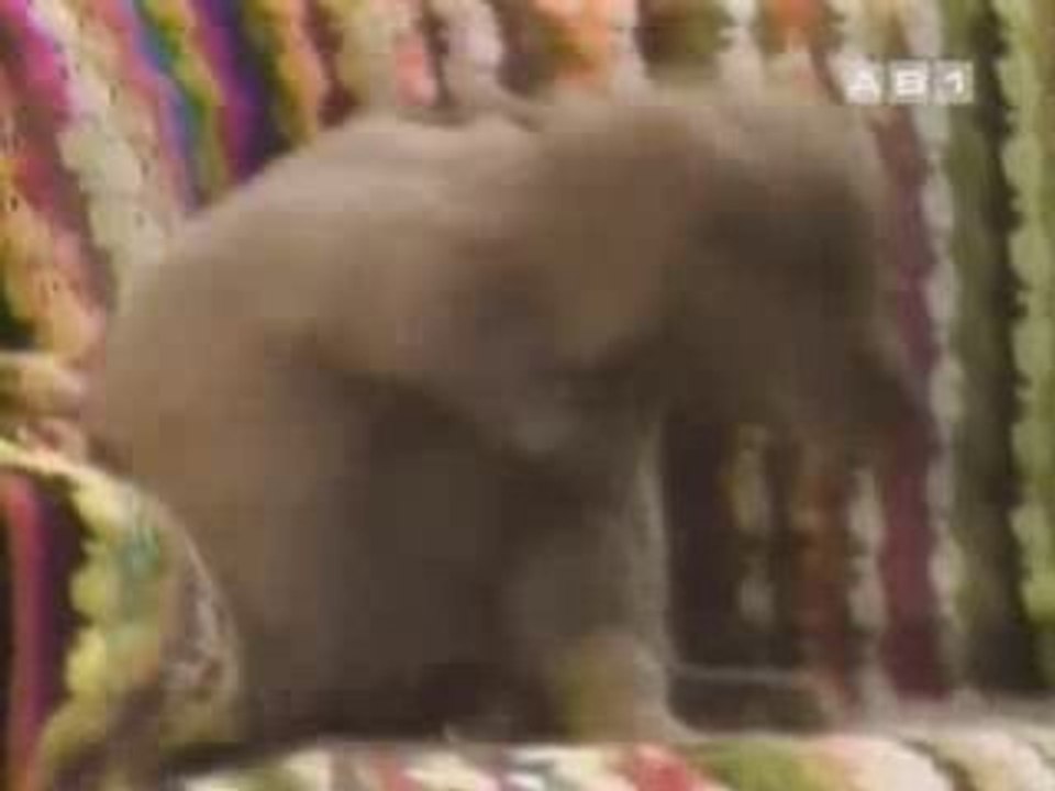 Punky_brewster_vo