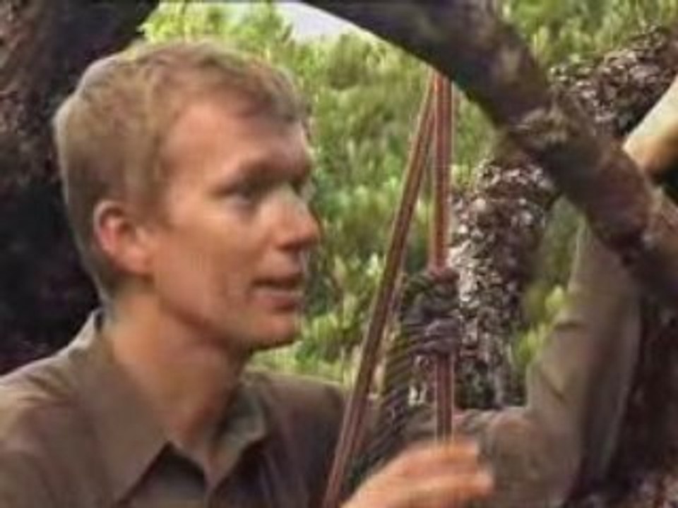 LE CO2 ( Yann à Madagascar)