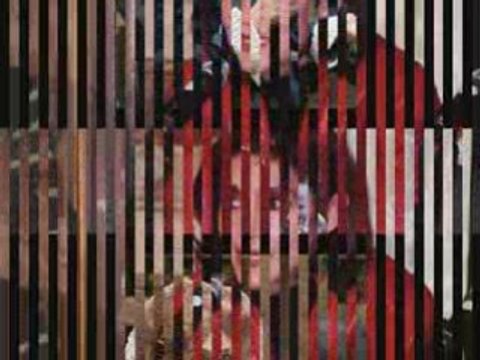 Visum incontra Anna Marchesini