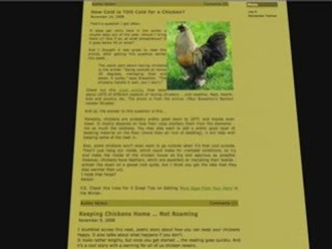 Great Plans for Building a Chicken Coop, Plan Yours Now