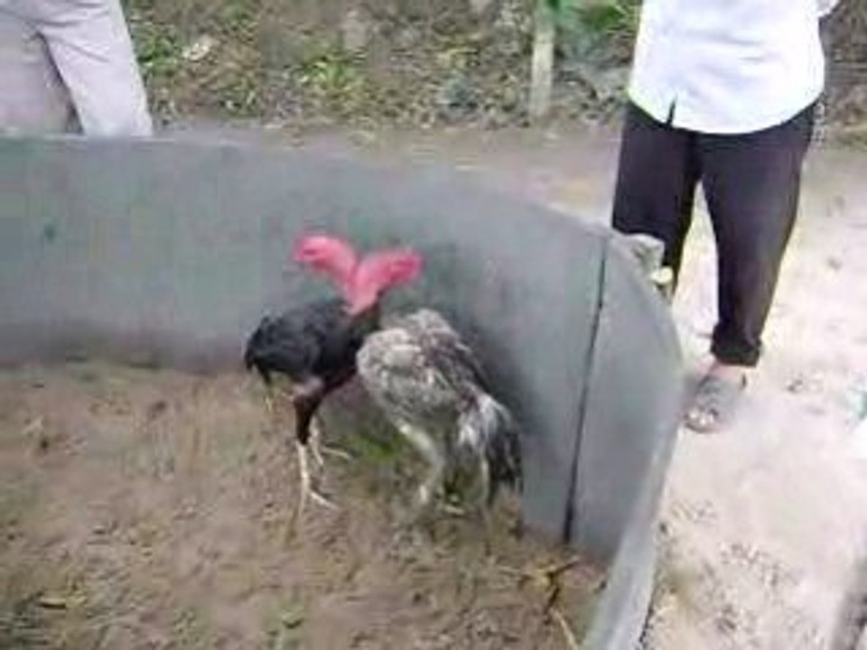 MOV00485-2
