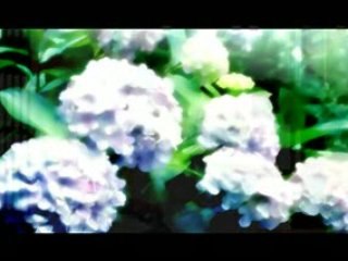 Jean Jaque  goldman " Comme toi "