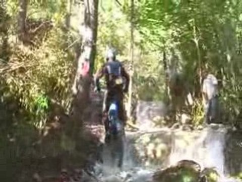 cascade Vielle Tiges 2008