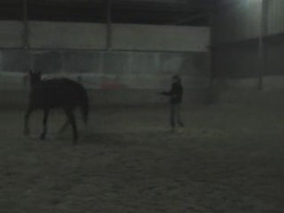 Longe Olten