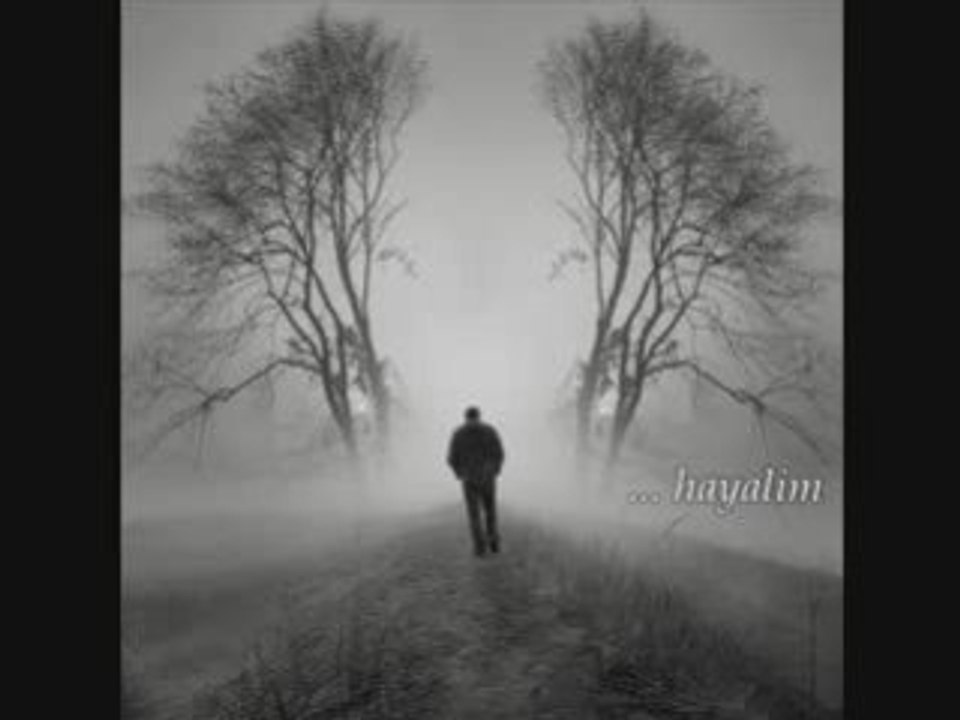 Hayalim