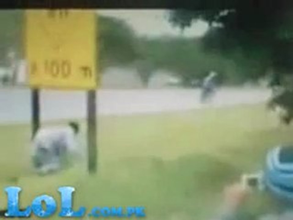 Danger Accident