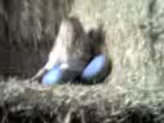 Mon saaaut ; exellent. :  P