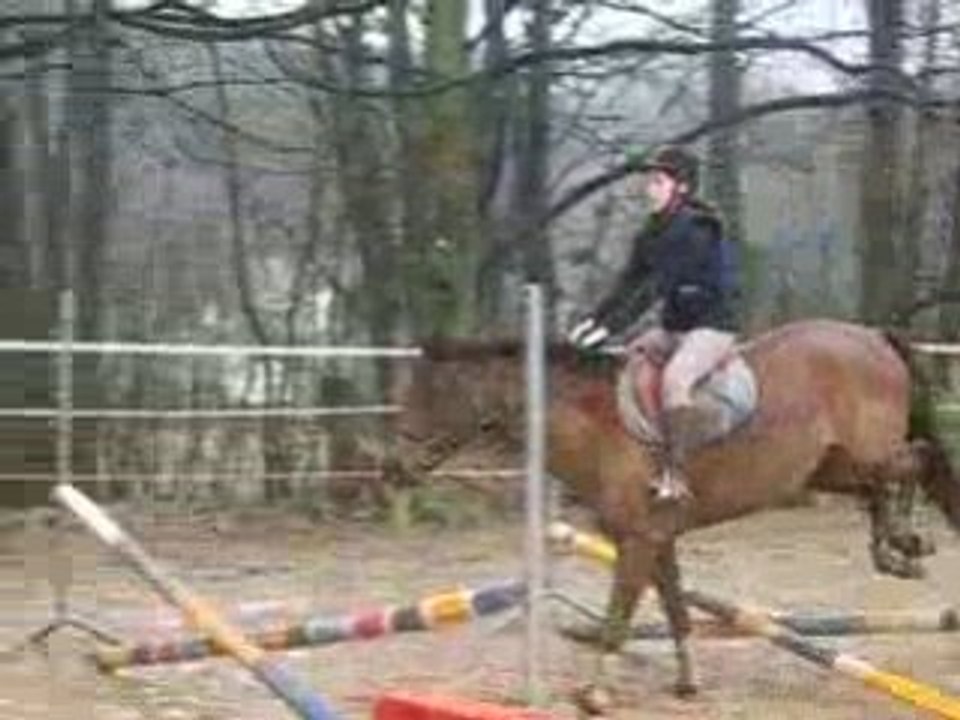Cours Galop 5 samedi 20/12/08