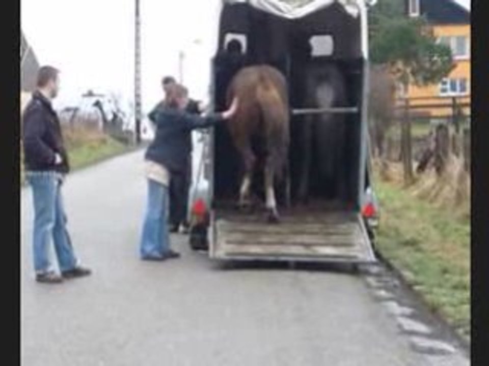 Abshad qui sort du van