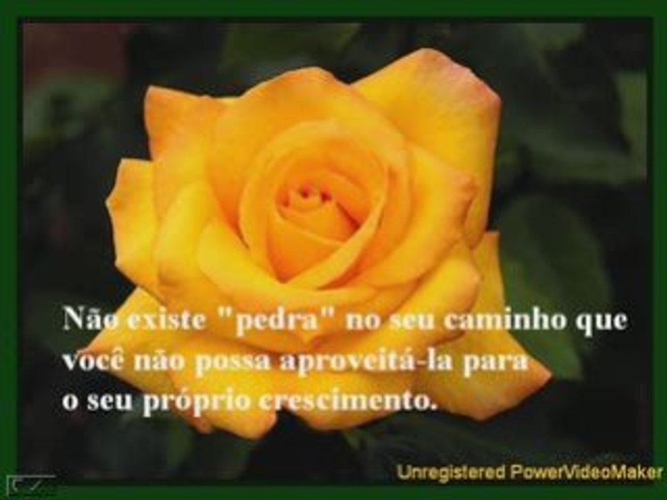 A_Pedra