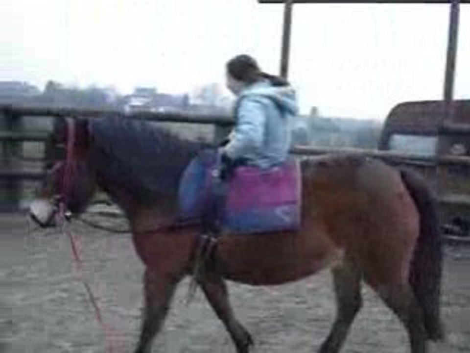 voltige