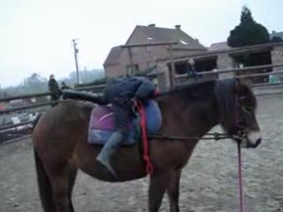 voltige
