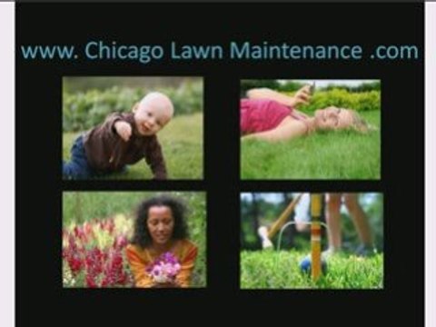 Chicago Lawn Care Service and landscape Maintenance