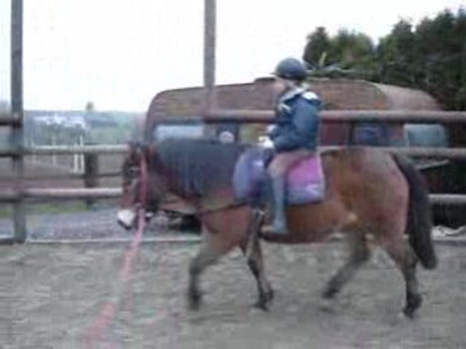 voltige