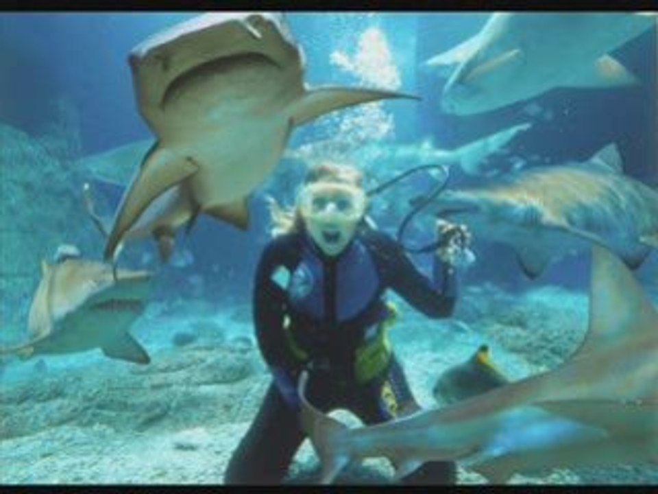 How to Make Money Online without Selling